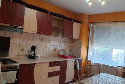 Apartament cu 4 camere decomandat în Oșorhei - 4