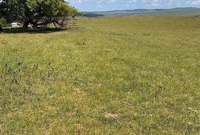 Teren de 54500 mp, în Jibert - 4