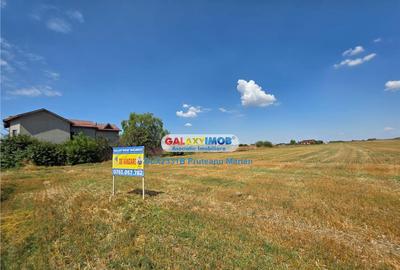 Teren 25395 mp situat in comuna Clinceni aproape de zone Rez - 4