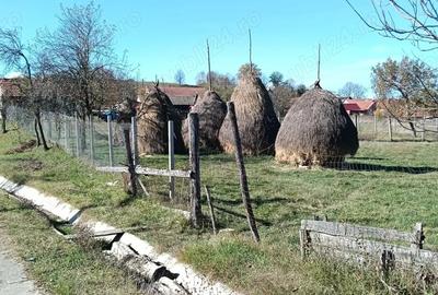 Casă cu 2 camere în Ezeriș - 7