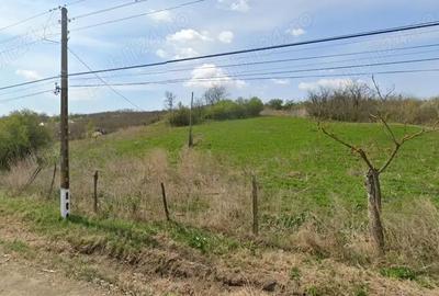 Teren de 5500 mp, în Cavadinești