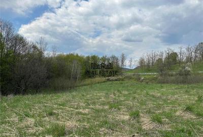 Teren de 3415 mp, în Luncoiu de Sus - 6