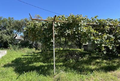 Casă cu 4 camere în Valea Albă - 3