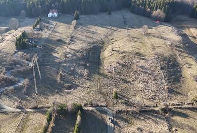 Teren intravilan la baza pădurii Valea Doftanei sat Traisteni (poduri) - 6