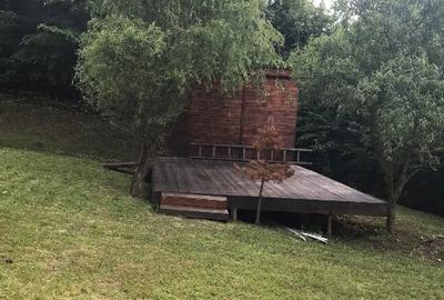 Casă de vacanță în stațiunea  Valiug - 2