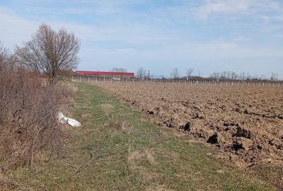 Spațiu comercial, în Apa - 2