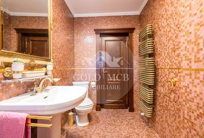 Vila cu piscina pe malul lacului-Snagov -Ciofliceni - 17