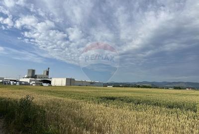 Teren agricol intravilan de 8800 mp, în Periferie - 1