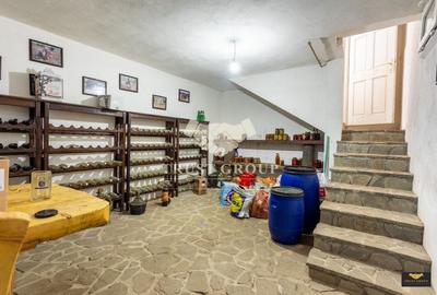 Oportunitate Rara - Vila pe Malul Lacului Snagov | Piscina | Ponton | COMISION 0 - 58