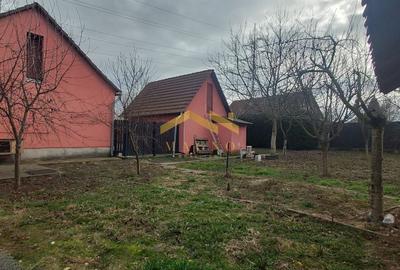 Casă individuală cu 3 camere cu Canalizare în Micălaca - 15