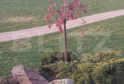 Casă cu 4 camere în Sud - 2