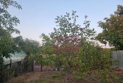 Casă cu 5 camere cu Teren 2875 Mp în Sadina - 17