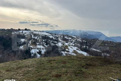 Spațiu comercial, în Bran