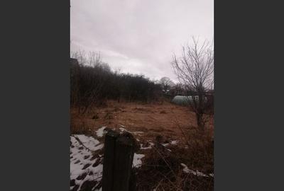 Casă cu 3 camere cu Teren 3040 Mp în Ceanu Mic - 7