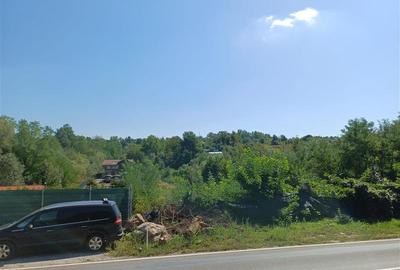 Teren Construcții intravilan de 5615 mp, în Calea Caransebeșului - 9