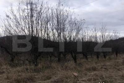 Teren de 1037 mp, în Central - 2