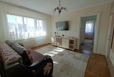 Apartament cu 2 camere semidecomandat în Govândari - 4