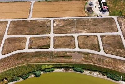 Spre vanzare teren intravilan cu utilități JUD Calarasi,  sat Pasarea - 5