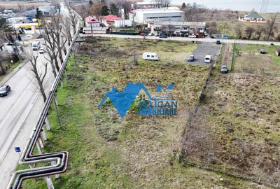 Teren intravilan - Str. Isaccei, 1000MP - 12