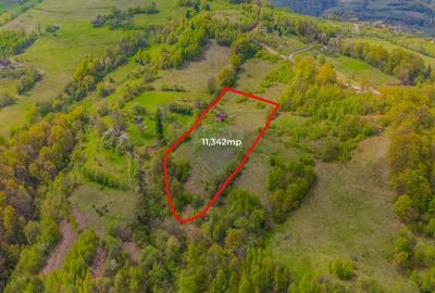 Teren 11,342 mp Poiana Marului /Extravilan/Oportunitate investiție - 5