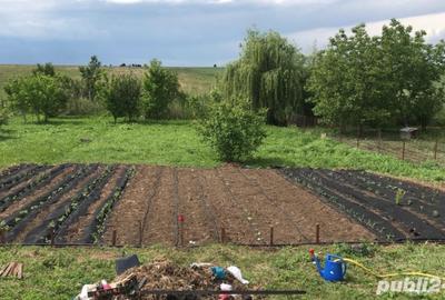Casă cu 5 camere cu Teren 2000 Mp în Petrăchioaia - 1