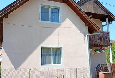 Casă cu 3 camere în Cotuș - 1