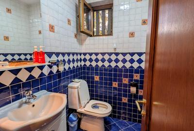 Izbiceni-Coralilor-Damaroaia,eleganta si robusta,cu garaj,curte intima,vegetatie - 36