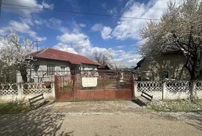 Casă cu 3 camere în Central - 2