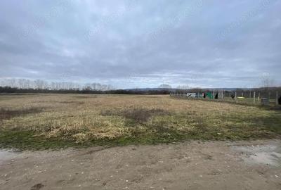 Teren de 5700 mp, în Oșorhei - 2