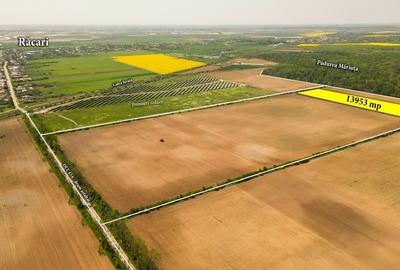 Teren intravilan 13953 mp Răcari lângă Pădurea Măriuța - oportunitate investiție - 5