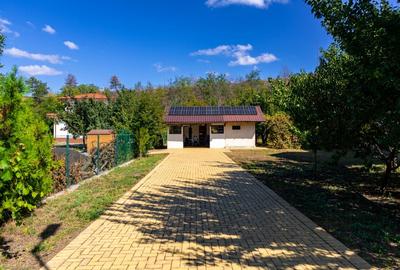 DOMENIU DE VANZARE - PRET SPECIAL - 7