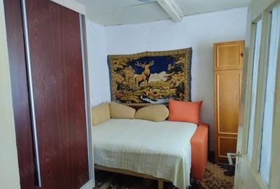 Casă cu 2 camere cu Teren 2200 Mp în Luptători - 2