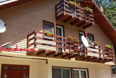 Spațiu comercial, de 450 mp, în Lepșa - 18