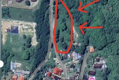 Spațiu comercial, în Malaia - 1
