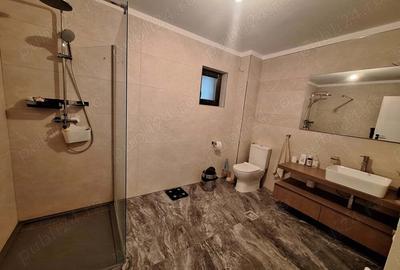 Casa Prelungirea Ghencea modern amenajata - langa scoala Pro Ingenio Casa Prelungirea Ghencea modern amenajata - langa scoala Pro Ingenio - 3