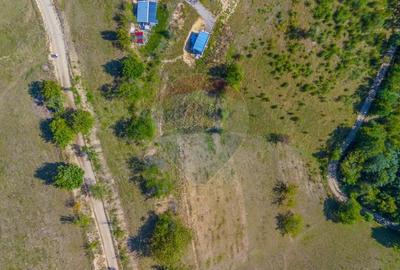 Teren extravilan 6,014mp | Holbav | BRASOV | COMISION 0| - 4