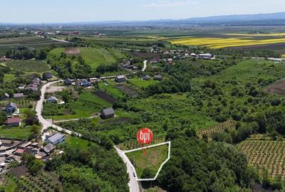 Teren Construcții intravilan de 1313 mp, în Rădășeni - 3