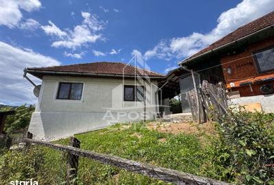 Casă cu 4 camere cu Teren 3534 Mp în Blăjeni - 3