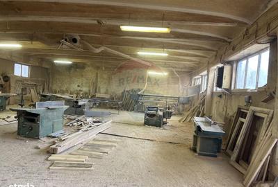 Spațiu comercial, de 445 mp, în Dumbrava - 1