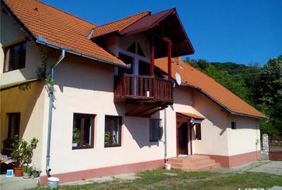 Casă cu 6 camere cu Teren 4000 Mp în Săvârșin - 9