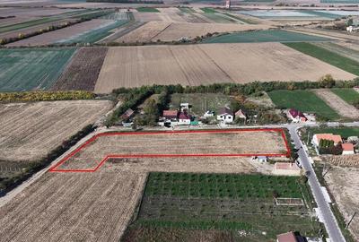 RECO Teren Cheresig 20 km de Oradea RECO Teren Cheresig 20 km de Oradea - 4