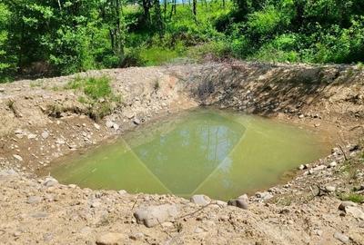 Teren agricol extravilan de 6725 mp, în Hoteni - 5