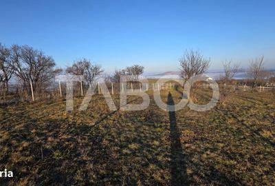 Spațiu comercial, în Loman - 3