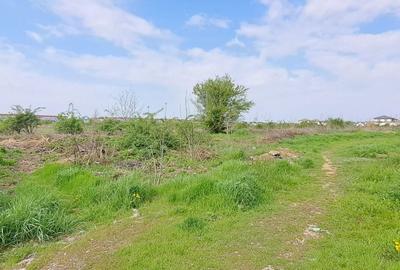 Teren Construcții intravilan de 2500 mp, în Dragomirești-Deal - 3