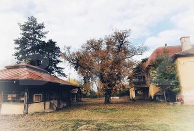 De vanzare conac boieresc, anul 1880, 3 ha teren, 1200 mp co - 2