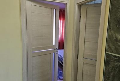Apartament cu 2 camere decomandat în Scriitorilor - 3