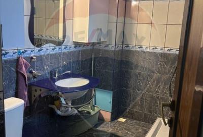 Casă cu 3 camere cu Teren 300 Mp în Mogoșoaia - 12