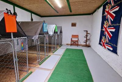 Casă cu 3 camere în Lotrioara - 5