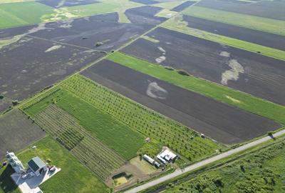 Livada de nuci ?i pruni 2.4ha in Varia?ul Mare Livada de nuci ?i pruni 2.4ha in Varia?ul Mare - 5