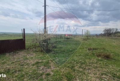 Spațiu comercial, în Central - 2